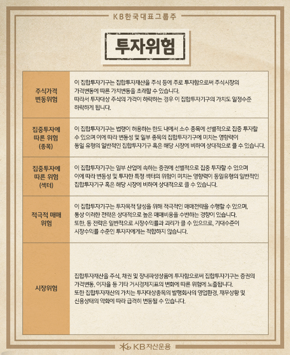 'kb 한국 대표그룹주' 펀드의 주요 투자위험 사항.
